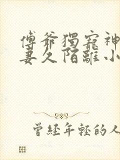 傅爷独宠神秘娇妻久陌离小说