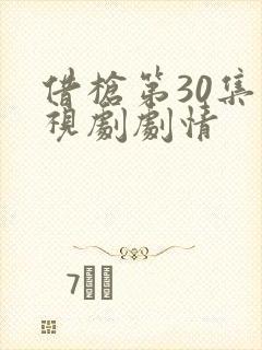 借枪第30集电视剧剧情