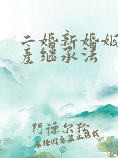 二婚新婚姻法遗产继承法