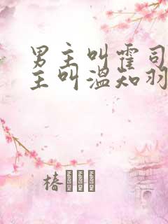 男主叫霍司砚女主叫温知羽的小说