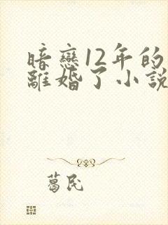 暗恋12年的他离婚了小说免费阅读