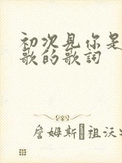 初次见你是哪首歌的歌词
