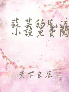 苏芸的风流人生小说免费阅读全文最新章节