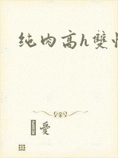 纯肉高h双性