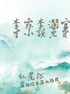 李霖李澜官场奇才小说免费阅读