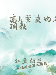 高h荤爽肉欲文调教