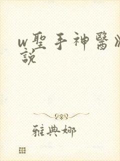 w圣手神医》小说