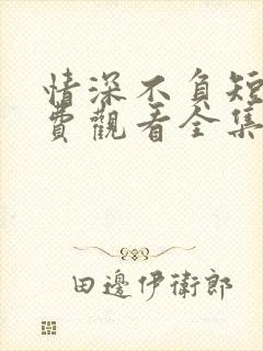 情深不负短剧免费观看全集