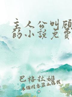 主人公叫顾北弦的小说免费阅读