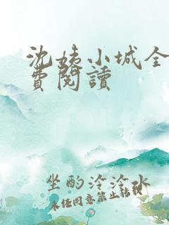 沈姨小城全文免费阅读