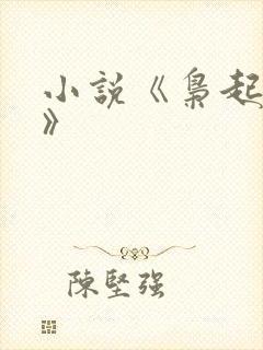 小说《枭起青壤》