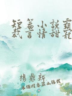 短篇小说霸道总裁言情甜宠