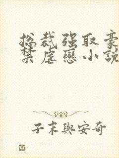 总裁强取豪夺囚禁虐恋小说