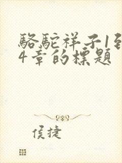 骆驼祥子1到24章的标题