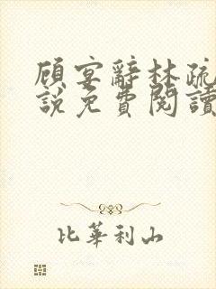 顾宴辞林疏月小说免费阅读最新章节