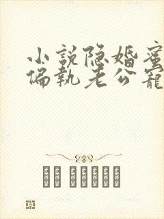 小说隐婚蜜爱:偏执老公宠上瘾在线阅读