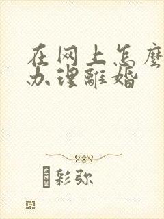 在网上怎么快速办理离婚