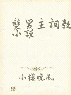 双男主调教高h小说