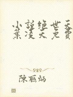 小说绝世天骄·叶凌天免费全文阅读