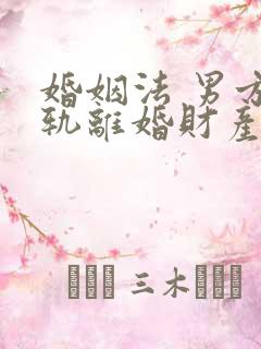 婚姻法 男方出轨离婚财产分割