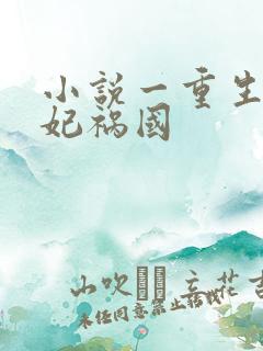 小说一重生之妖妃祸国