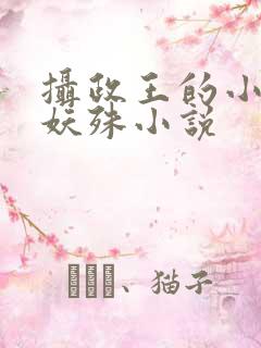 摄政王的小闲妻妖殊小说