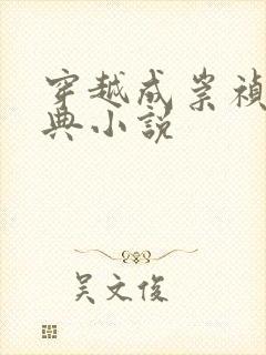 穿越成崇祯的经典小说