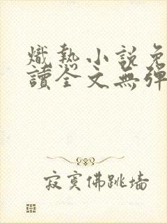 炽热小说免费阅读全文无弹窗