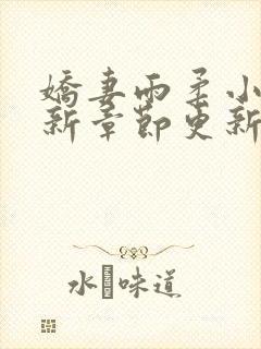 娇妻雨柔小说最新章节更新