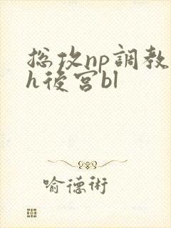 总攻np调教高h后宫bl