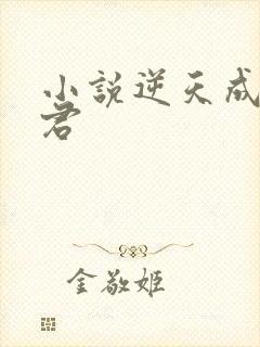 小说逆天成神贤君