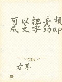 可以把音频转化成文字的app