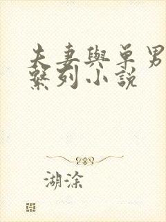 夫妻与单男交友系列小说