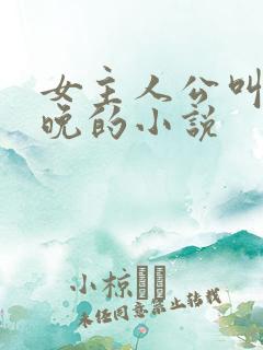 女主人公叫沈星晚的小说