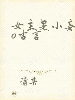 女主是小妾的po古言