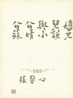 公公与儿媳小说苏晴小说免费