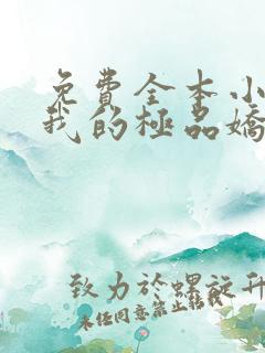 免费全本小说,我的极品娇妻