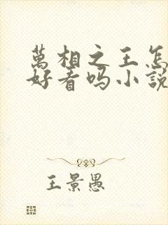 万相之王怎么样好看吗小说