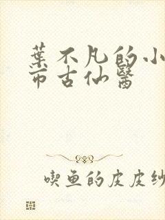 叶不凡的小说都市古仙医