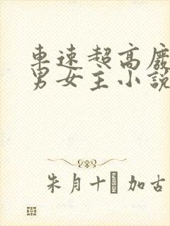 车速超高废文的男女主小说