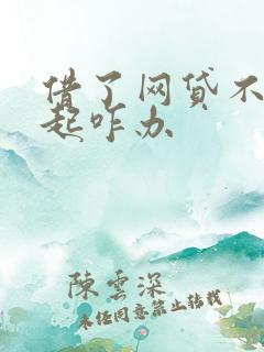 借了网贷不还不起咋办