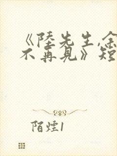 《陆先生,余生不再见》短剧