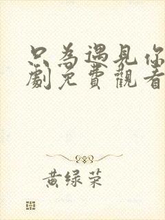 只为遇见你电视剧免费观看全集