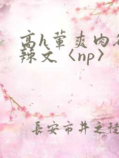 高h荤爽肉欲文辣文〈np〉