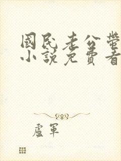 国民老公带回家小说免费看