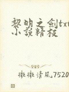 黎明之剑txt小说精校