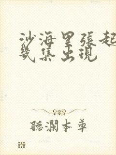 沙海里张起灵第几集出现