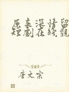 原来深情留不住短剧在线观看