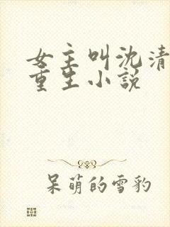 女主叫沈清辞的重生小说