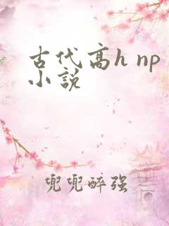 古代高h np小说